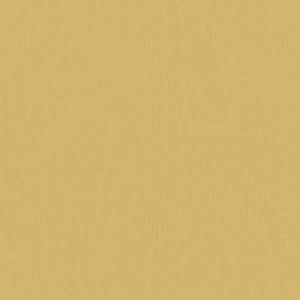 Inca 03 Swatch image for Inca 03